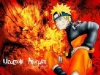 Images 14